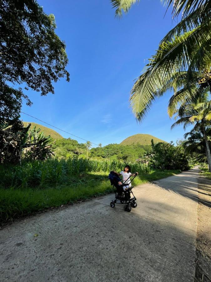 مبيت وإفطار Carmen  Casa Aguelo Chocolate Hills المظهر الخارجي الصورة