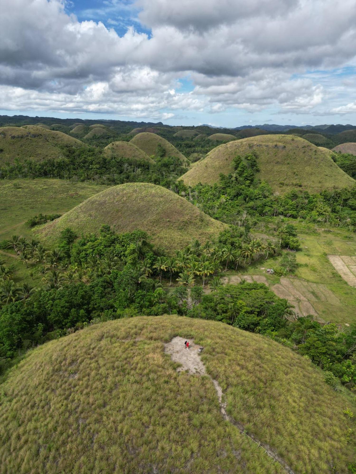 مبيت وإفطار Carmen  Casa Aguelo Chocolate Hills المظهر الخارجي الصورة